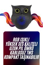 Baykuş Tasarımlı Mini Bluetooth Speaker Yüksek Ses Kaliteli Taşınabilir - Görsel 2