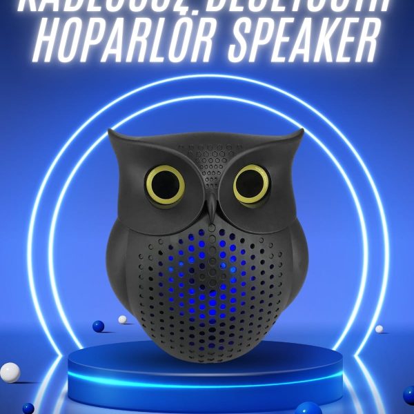 Müzik Çalar Bluetooth Hoparlör Speaker 5.0 Kablosuz Baykuş Görünümlü