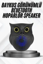 Bluetooth Hoparlör TWS Kablosuz RGB Işıklı Dekoratif Taşınabilir Baykuş
