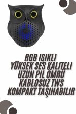 Bluetooth Hoparlör TWS Kablosuz RGB Işıklı Dekoratif Taşınabilir Baykuş - Görsel 2