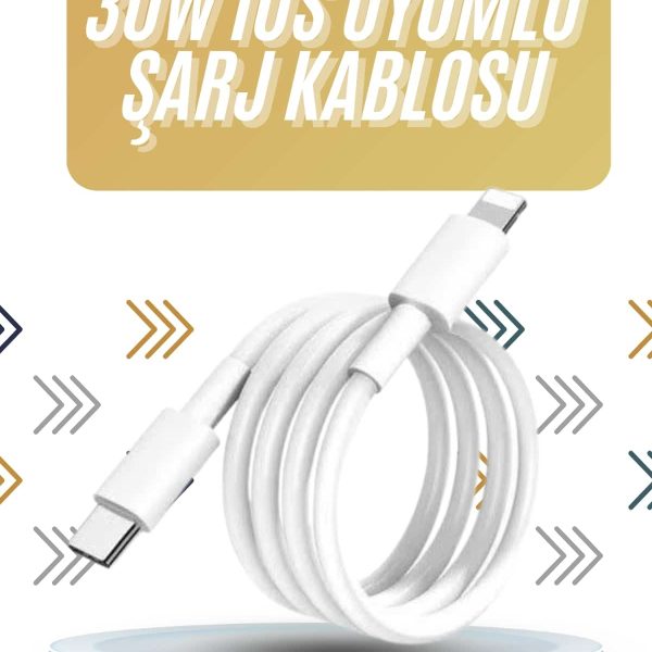 IOS Tüm Serilerle Uyumlu 30W Hızlı Şarj Aleti 11 12 13 14/Pro Max Mini Plus