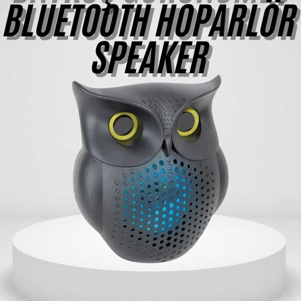 Siyah Bluetooth Hoporlör Baykuş Speaker Bluetooth 5.0 Bağlantılı