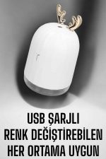 Aromaterapi Hava Temizleyici Buhar Makinesi Taşınabilir Şarjlı - Görsel 2