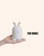 TVSN HAVA NEMLENDİRİCİSİ - Görsel 2