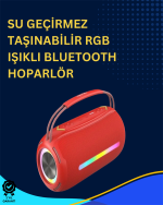 USB/SD/AUX Girişli Hoparlör – 10 W × 2 Çift Sürücü